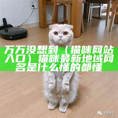 万万没想到（猫咪网站入口）猫咪最新地域网名是什么懂的都懂（猫咪网站全名叫什么）