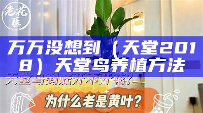 万万没想到（天堂2018）天堂鸟养植方法（天堂鸟的养殖方法和注意）