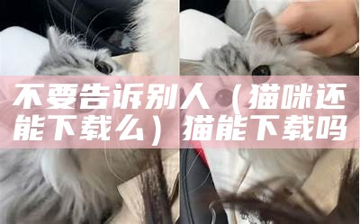 没想到（猫咪网页版官方）猫咪官网舍区（猫咪官网的网站是多少）