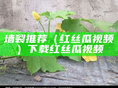 墙裂推荐（红丝瓜视频）下载红丝瓜视频