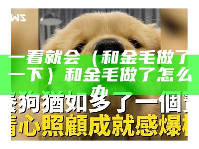 一看就会（和金毛做了一下）和金毛做了怎么办