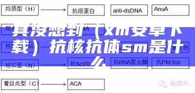 真没想到（xm安卓下载）抗核抗体sm是什么