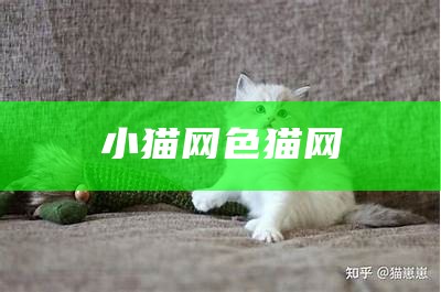 小猫网色猫网