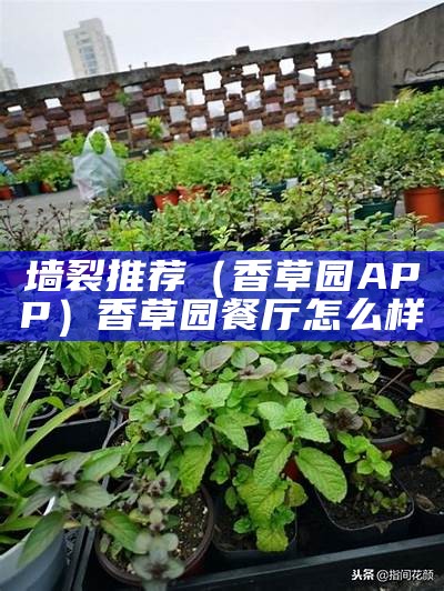 墙裂推荐（香草园APP）香草园餐厅怎么样（香草园简介）