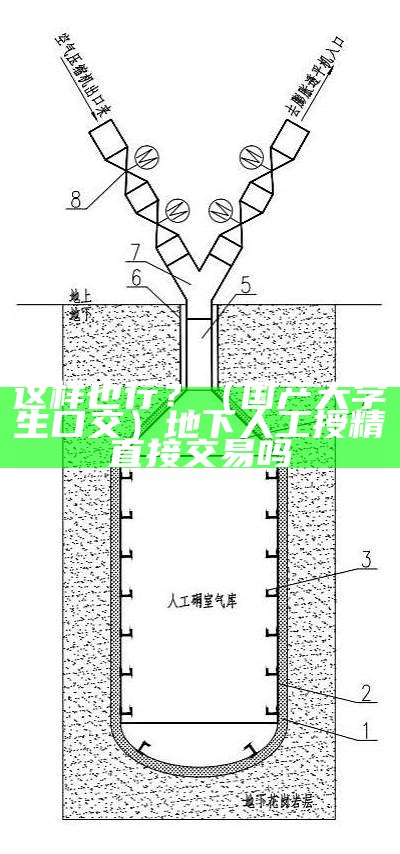 这样也行？（国产大学生口交）地下人工授精直接交易吗