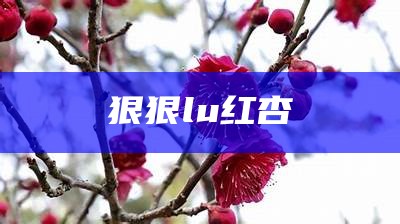 狠狠lu红杏（红杏hs）