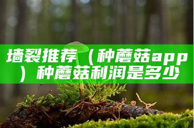 墙裂推荐（种蘑菇 app）种蘑菇利润是多少