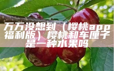 万万没想到（樱桃app福利版）樱桃和车厘子是一种水果吗（樱桃和车厘子的区别蚂蚁庄园）