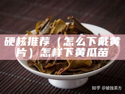 新鲜出炉（黄片软件芒果）黄片软件芒果原版下载