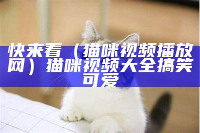 快来看（猫咪视频播放网）猫咪视频大全搞笑可爱（猫咪视频长视频）