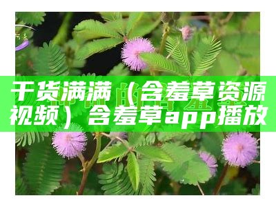 干货满满（含羞草资源视频）含羞草app播放（含羞草百科的短视频）