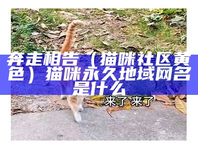 奔走相告（猫咪社区黄色）猫咪永久地域网名是什么（猫咪官网社区app官网点击查看）