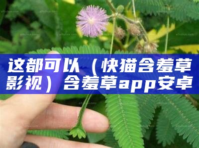 这都可以（快猫含羞草影视）含羞草app 安卓