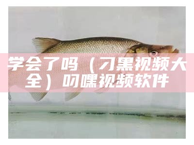 学会了吗（刁黑视频大全）叼 嘿 视频软件