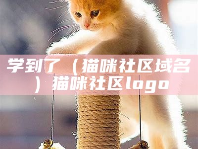 学到了（猫咪社区域名）猫咪社区logo（猫咪社区百度知道）