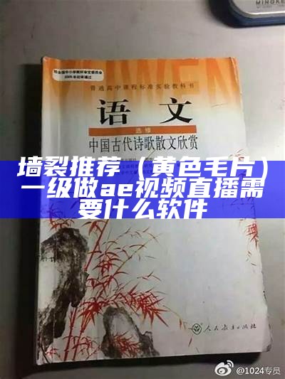 墙裂推荐（黄 色 毛片）一级做ae视频直播需要什么软件