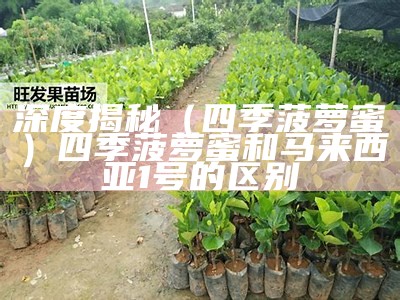 深度揭秘（四季菠萝蜜）四季菠萝蜜和马来西亚1号的区别（马来西亚1号菠萝蜜管理技术）