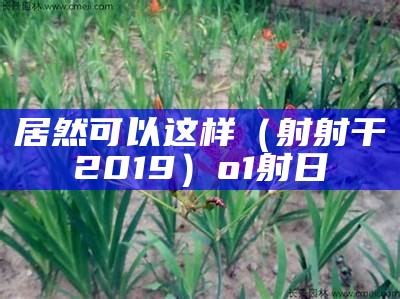 居然可以这样（射射干2019）o1射日（射干秒懂百科）