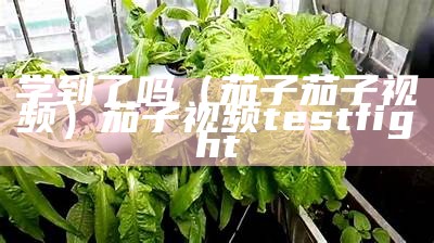 学到了吗（茄子茄子视频）茄子视频 testfight