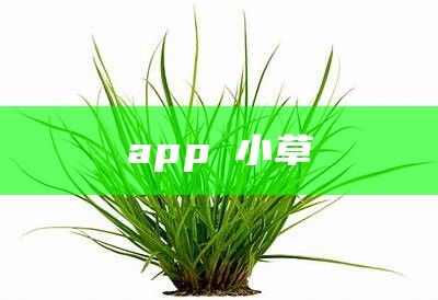 app 小草