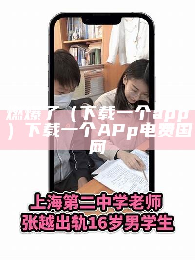 燃爆了（下载一个app）下载一个APp电费国网