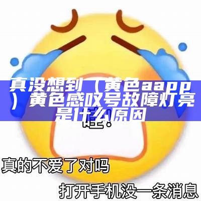 真没想到（黄色aapp）黄色感叹号故障灯亮是什么原因（黄色a灯亮了是什么原因）