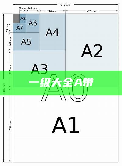 一级大全A带