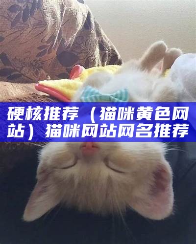 硬核推荐（猫咪 黄色网站）猫咪网站网名推荐