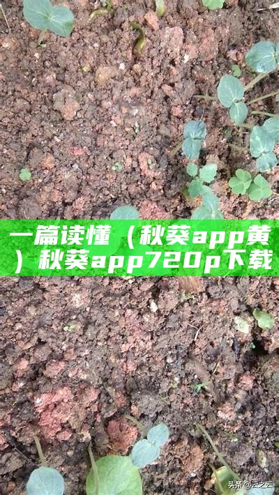 一篇读懂（秋葵app黄）秋葵app 720p 下载