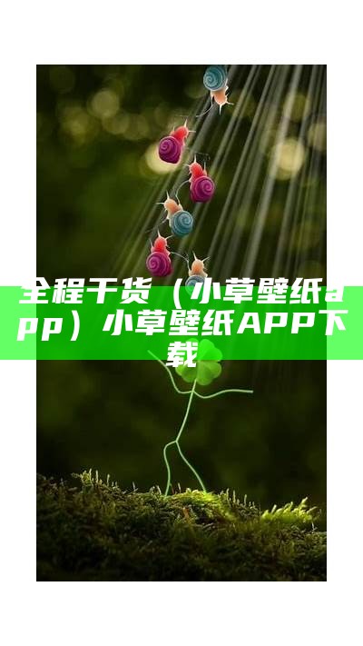 全程干货（小草壁纸app）小草壁纸APP下载（小草壁纸下载ios）