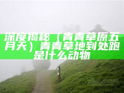 深度揭秘（青青草原五月天）青青草地到处跑是什么动物（青青草原了）