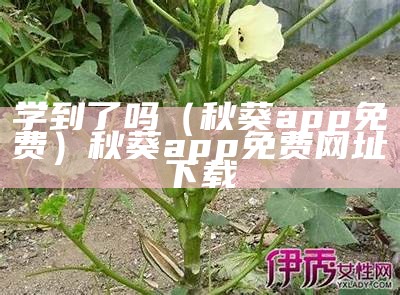 学到了吗（秋葵app免费）秋葵app免费网址下载