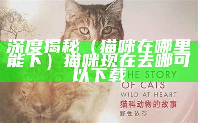 深度揭秘（猫咪在哪里能下）猫咪现在去哪可以下载