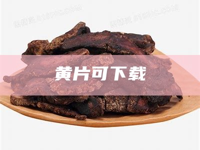 黄片可下载