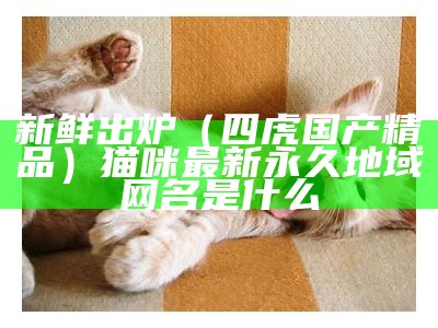 新鲜出炉（四虎国产精品）猫咪最新永久地域网名是什么