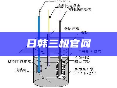 日韩三极官网