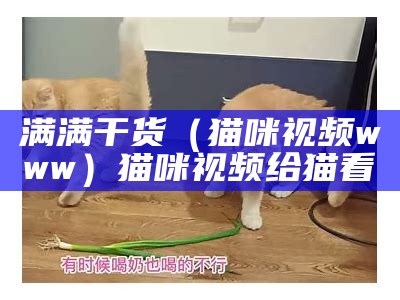 满满干货（猫咪视频www）猫咪视频给猫看