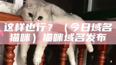 这样也行？（今日域名 猫咪）猫咪域名发布