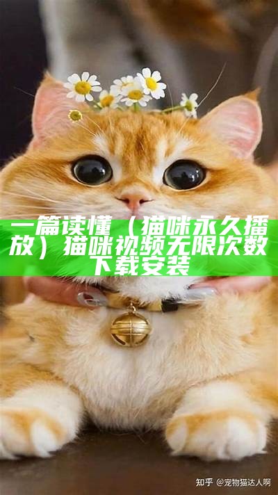 一篇读懂（猫咪永久播放）猫咪视频无限次数下载安装（猫咪视频最新版本免费下载）