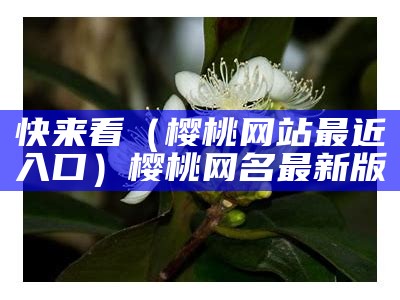 快来看（樱桃网站最近入口）樱桃网名最新版（樱桃网现在叫什么）