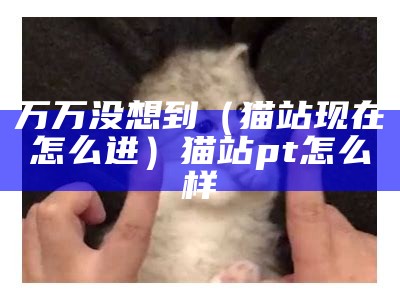 万万没想到（猫站现在怎么进）猫站 pt怎么样