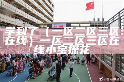 学到了（一区二区三区在线）一区二区三区在线 小宝探花