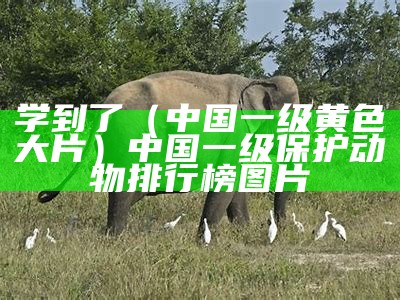 学到了（中国一级黄色大片）中国一级保护动物排行榜图片