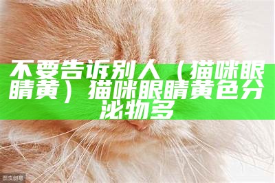 不要告诉别人（猫咪眼睛黄）猫咪眼睛黄色分泌物多（猫咪眼睛留黄色分泌物是什么）