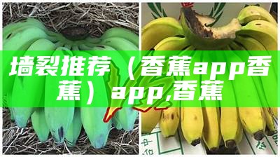 墙裂推荐（香蕉app香蕉）app,香蕉