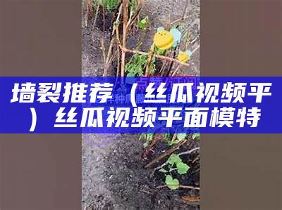 墙裂推荐（丝瓜视频平）丝瓜视频平面模特