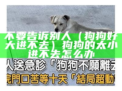 不要告诉别人（狗狗好大进不去）狗狗的太小进不去怎么办