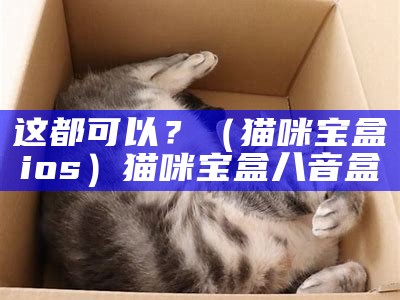 这都可以？（猫咪宝盒ios）猫咪宝盒八音盒（猫咪宝盒破解版的网址是什么）