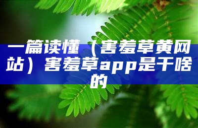 一篇读懂（害羞草黄网站）害羞草app是干啥的（害羞草app在哪下载）