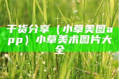 干货分享（小草美图app）小草美术图片大全（小草的美图）